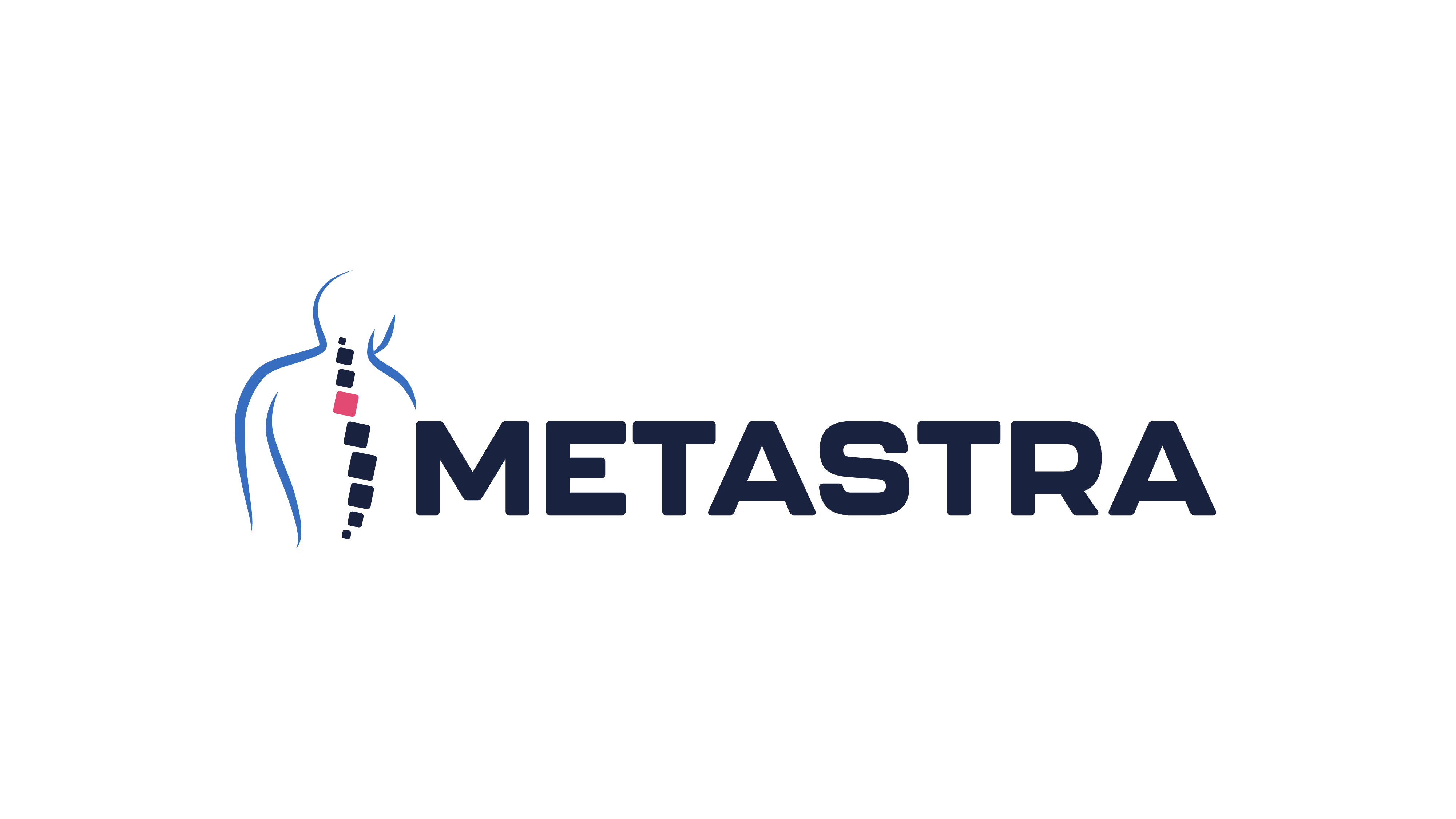 Metastra_logo_final