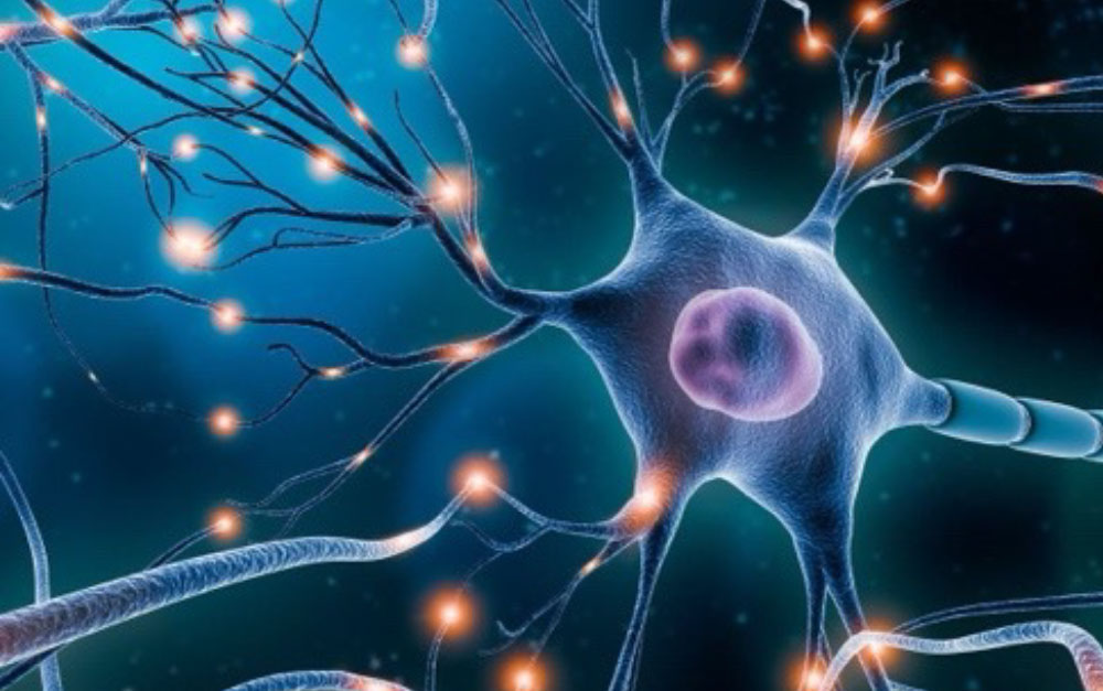 Axoltis Pharma receives authorization to launch SEALS - phase II clinical trial for ALS patients with drug candidate NX210c