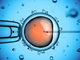 Infertility Virtual Patients