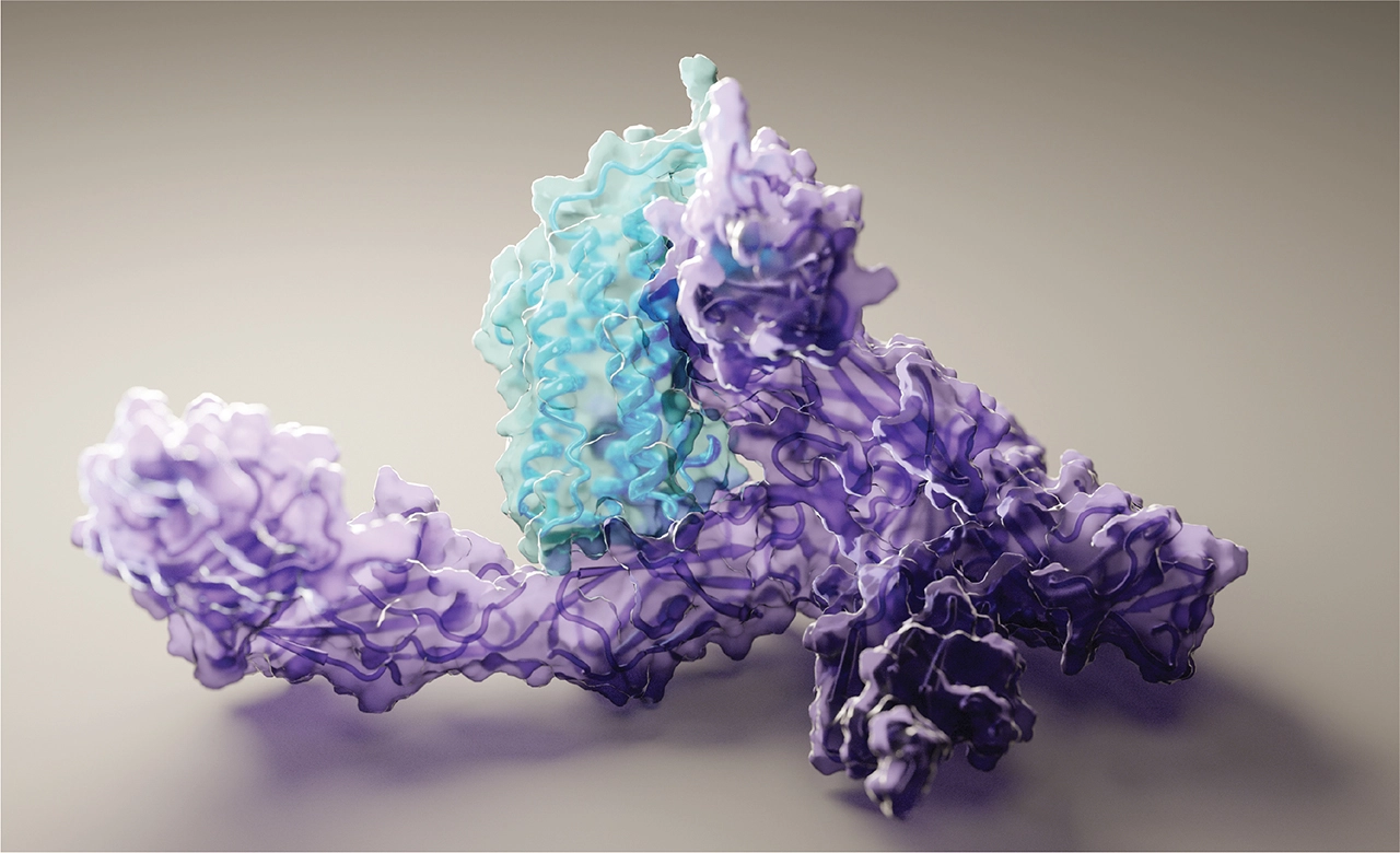 Molecular Docking