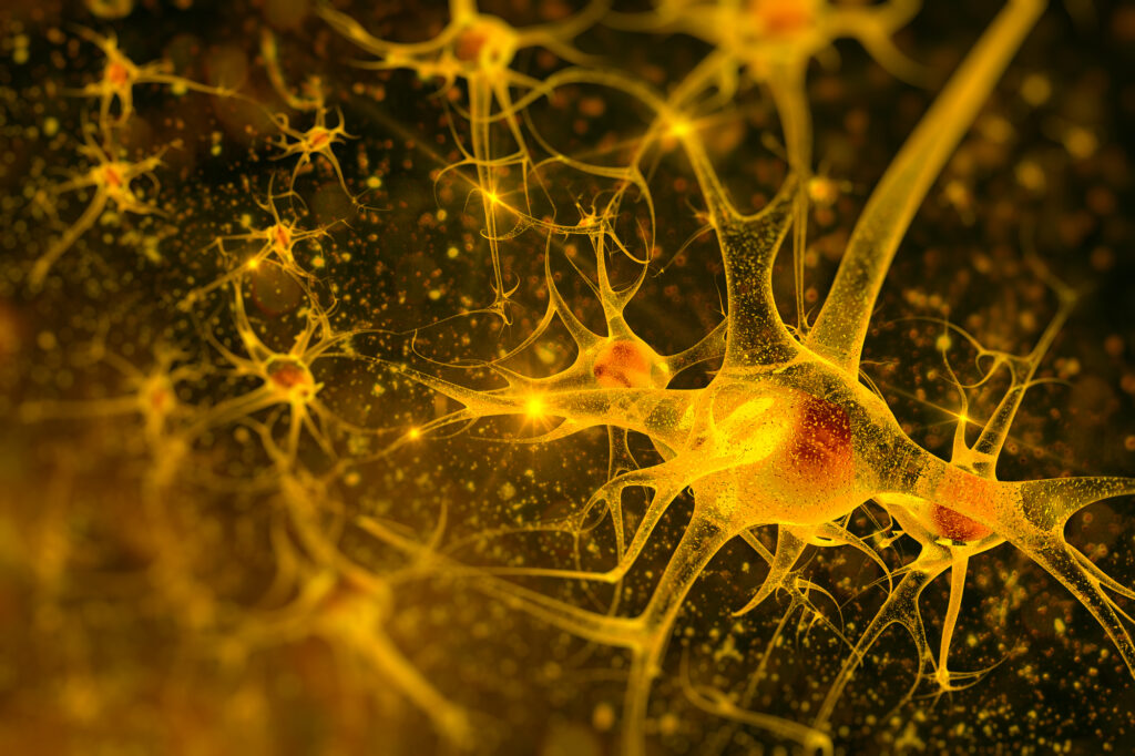 Heterogenous Virtual Multiple Sclerosis Patients for analysis of personalized treatment responses - ECTRIMS 2022