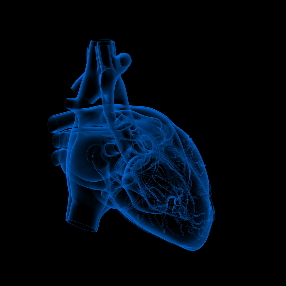 Early in silico assessment of drug-induced proarrhythmic risk using the Drug Safety Suite - VPH2022 Conference